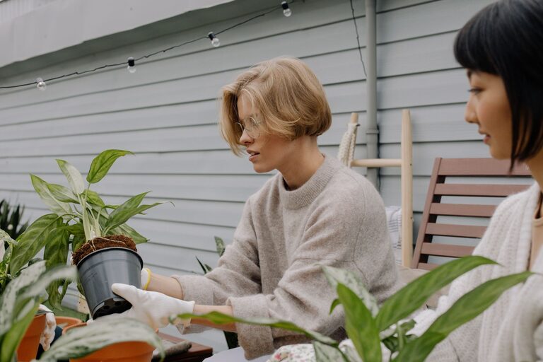 Tips for Creating a Sustainable Home Garden Throughout the Year
